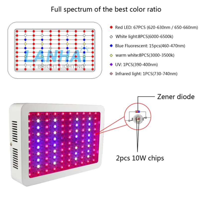 600W Full Spectrum LED Grow Light