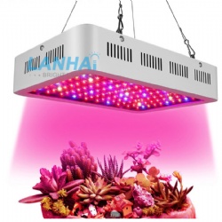 Double Chips 600W Full Spectrum Hydroponic Indoor LED Grow Lights