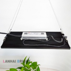 240W High efficiency Grow light Led Boards Led Grow Light Luminous Black Body Lamp Power Item COOL SMD Color Flux