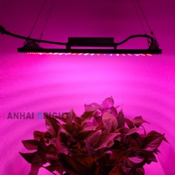 Full Spectrum LED Grow Light Quantum Sunlike Grow Lamp For Greenhouse Plant Growth Lighting Double Chip High Power LED Beads